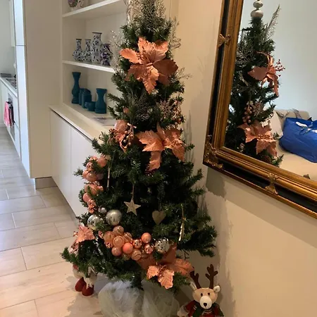 Casa Baia Flaminia Appartamento